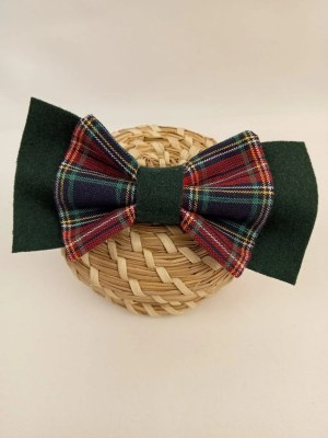 Nœud Papillon- Callum