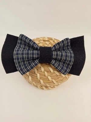 Nœud Papillon - Gabriel